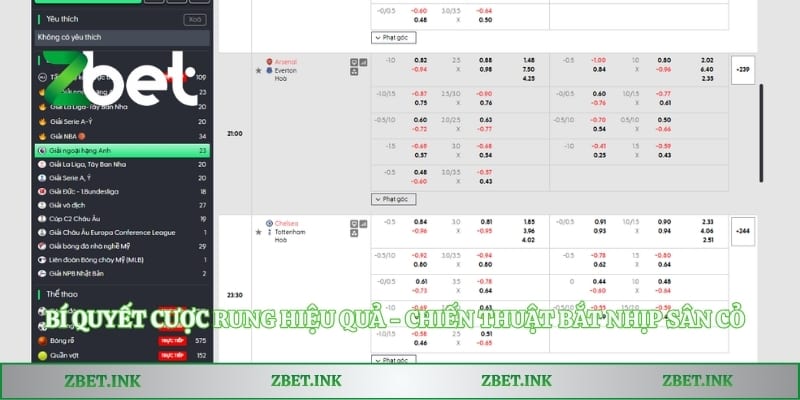 Bí Quyết Cược Rung Hiệu Quả - Chiến Thuật Bắt Nhịp Sân Cỏ