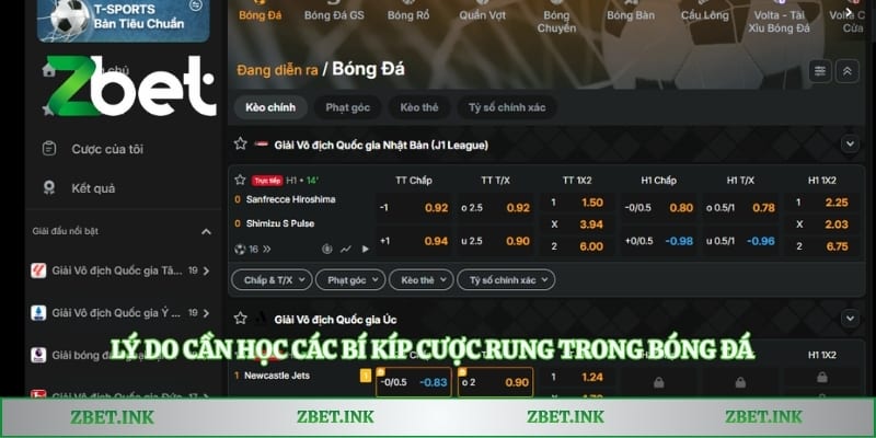 Lý do cần học các bí kíp cược rung trong bóng đá