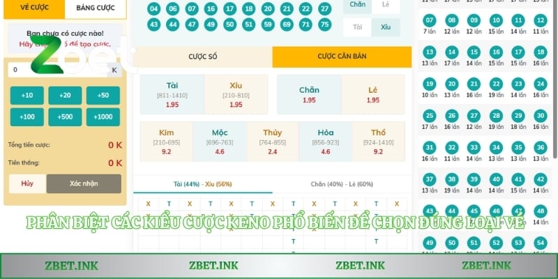 Phân biệt các kiểu cược Keno phổ biến để chọn đúng loại vé