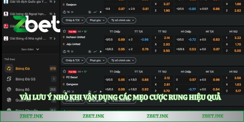 Vài lưu ý nhỏ khi vận dụng các mẹo cược rung hiệu quả